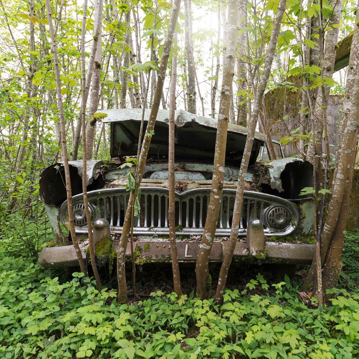 urbex-exploration-france-automobile-car-nature