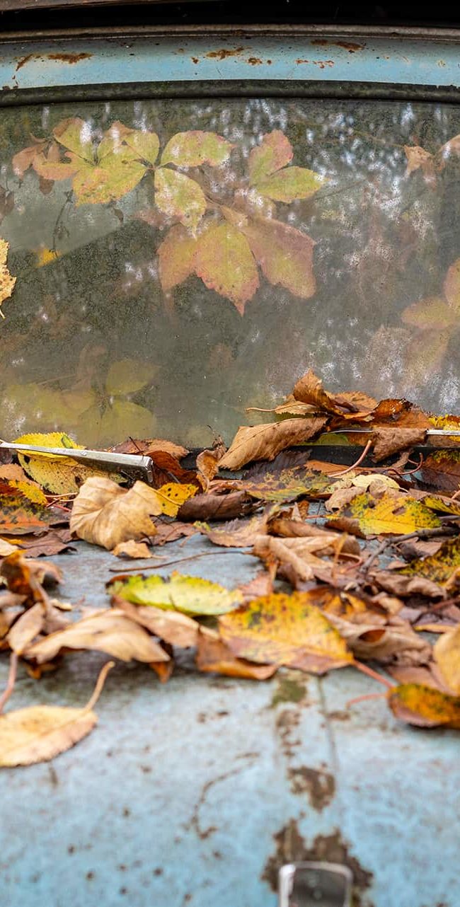 urbex-urban-exploration-autriche-graveyard-car-automne