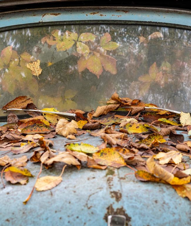 urbex-urban-exploration-autriche-graveyard-car-automne