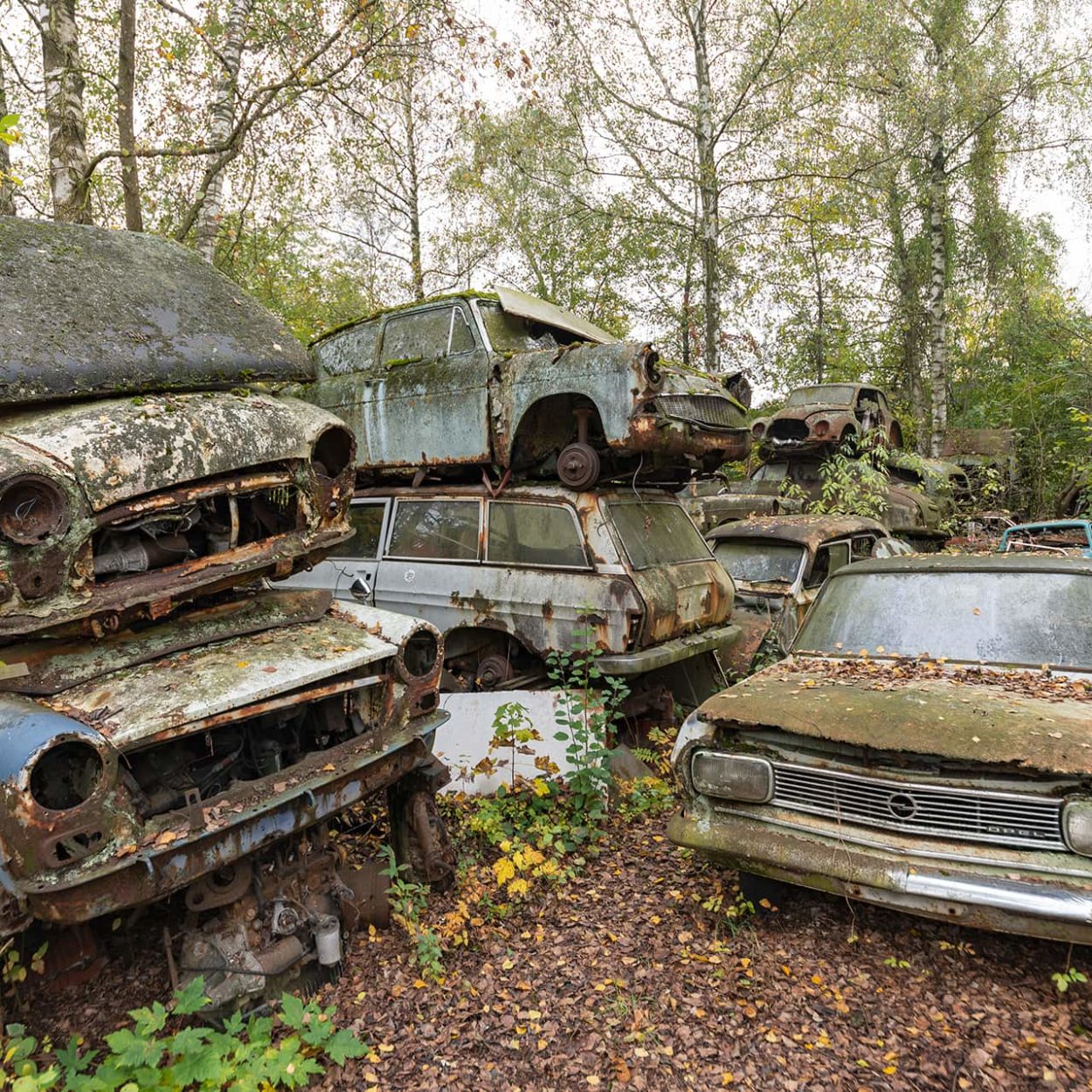 urbex-urban-exploration-autriche-graveyard-car-rouille-casse