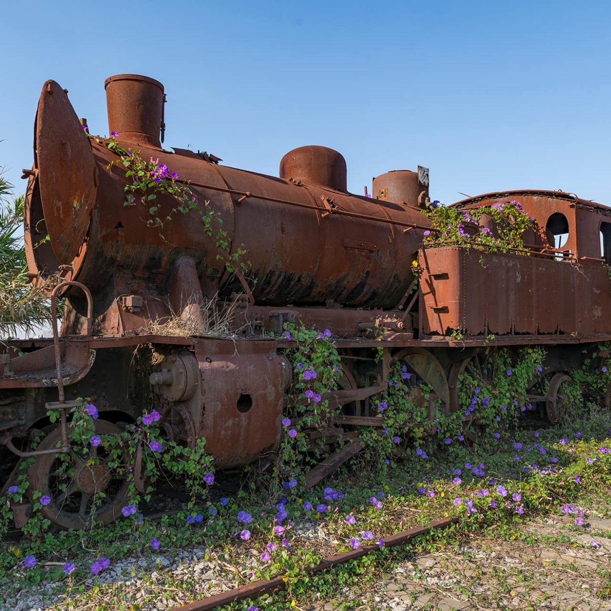 urbex-urban-exploration-portugal-train-graveyard-locomotive