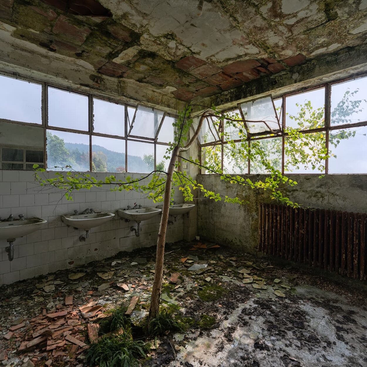 urbex-exploration-italie-red-cross-hospital-nature