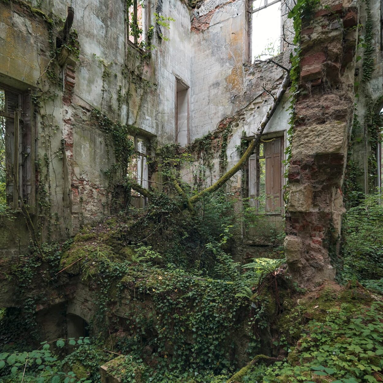 urbex-exploration-france-nature-vegetation