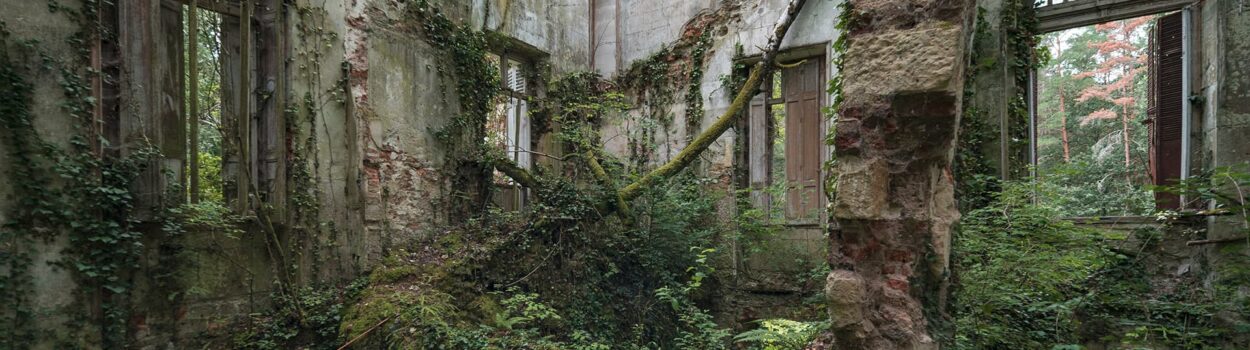 urbex-exploration-france-nature-vegetation