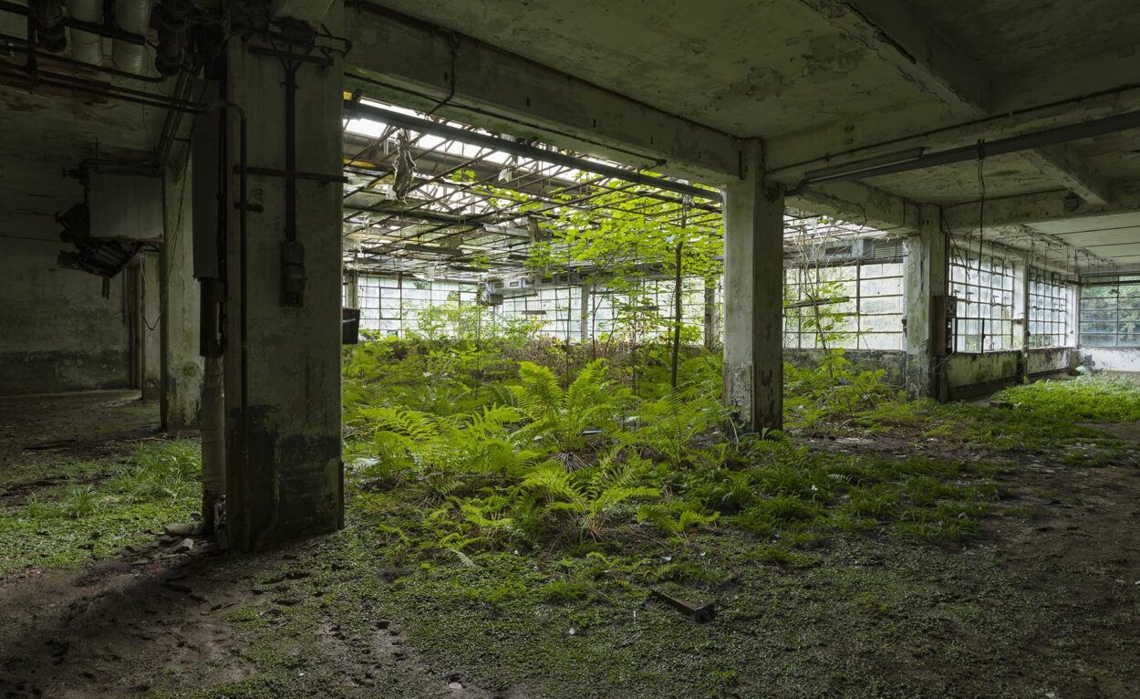 urbex-exploration-italie-nature-flore-usine