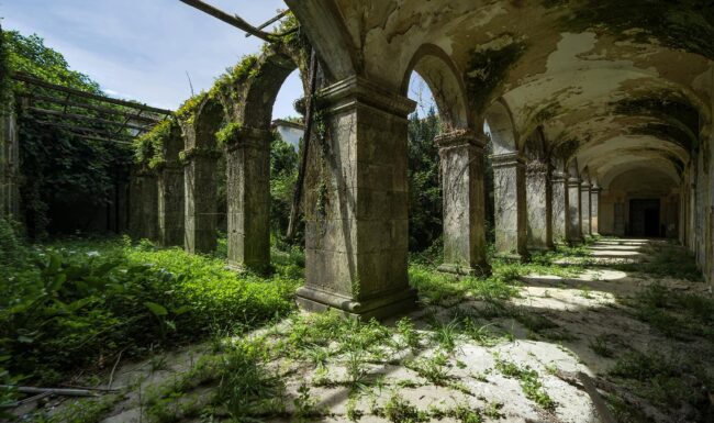 urbex-urban-exploration-portugal-cloitre-vegetation