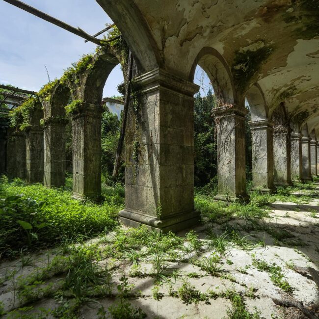 urbex-urban-exploration-portugal-cloitre-vegetation