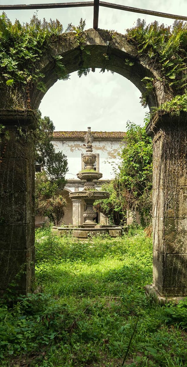 urbex-urban-exploration-portugal-fontaine-cloitre-vegetation