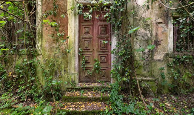 urbex-urban-exploration-portugal-porte-nature-verdure