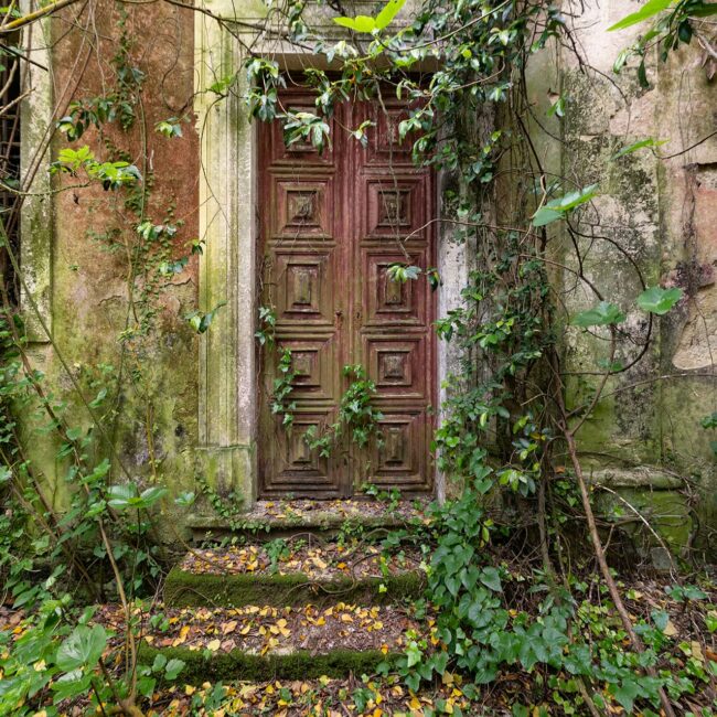 urbex-urban-exploration-portugal-porte-nature-verdure