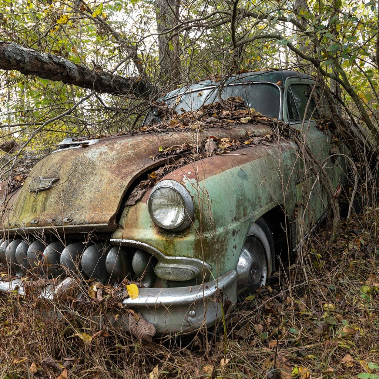 urbex-urban-exploration-usa-car-voiture-americaine-desoto-firedom