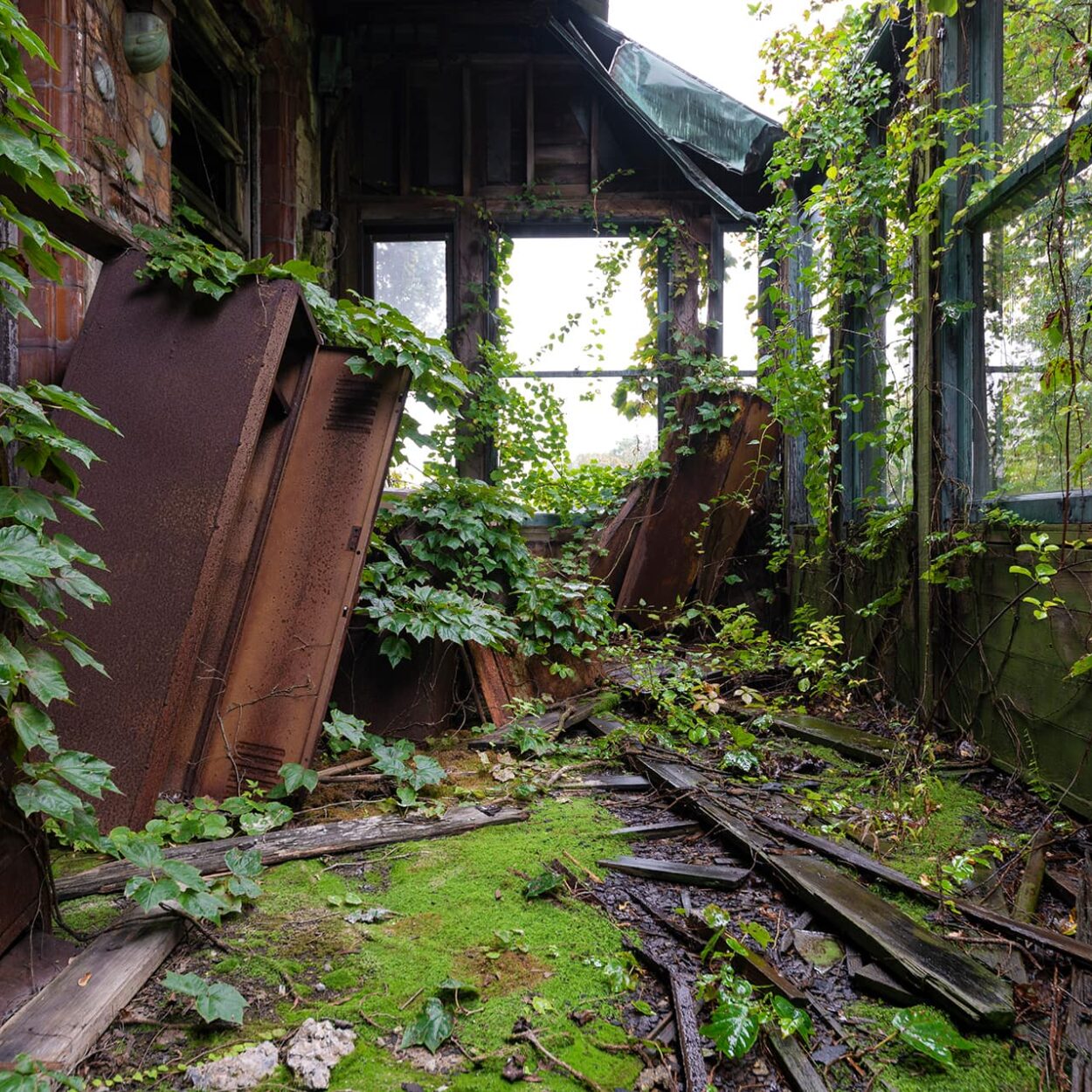 urbex-urban-exploration-usa-nature-green