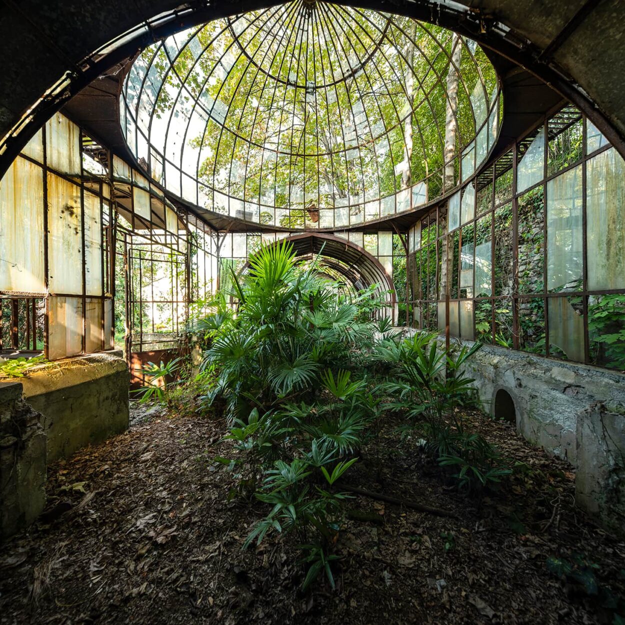 urbex-exploration-italie-serre-nature-tropicale-parc