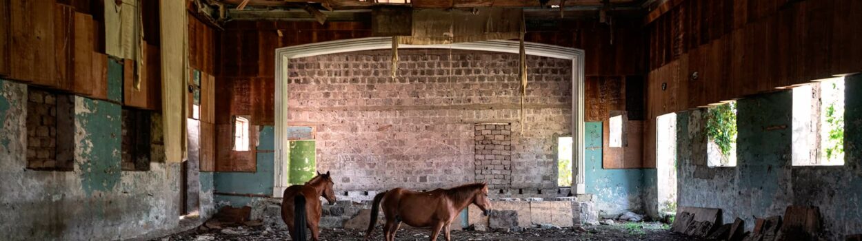 urbex-urban-exploration-georgie-culture-house