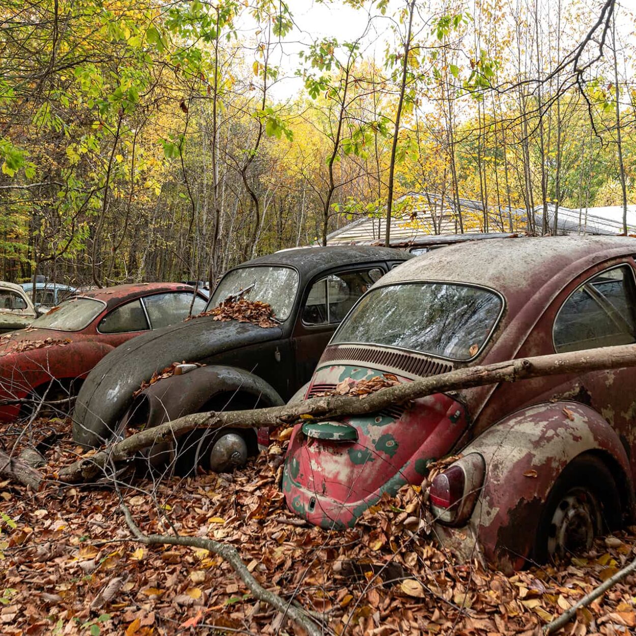 urbex-urban-exploration-usa-abandoned-vw-coccinelle